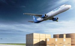 Air Freight Service, Is It Mobile Access: Mobile Access