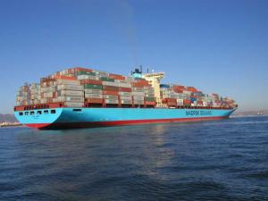 China FCL Logistics Ocean Freight to North Africa from Shenzhen on sale 